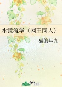 《水鏡流華(網王同人)》